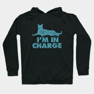 I’m In Charge Turquoise Distressed Cat Circle Design Hoodie